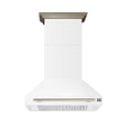 thumbnail image 1 of FORNO Aria Wall-Mounted Kitchen Range Hood, 1 of 11