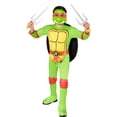 thumbnail image 1 of Teenage Mutant Ninja Turtles Raphael Muscle Chest Children's Costume, 1 of 7