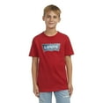 thumbnail image 5 of Levi's Boys 2 Pack Short-Sleeve Tees, 5 of 21