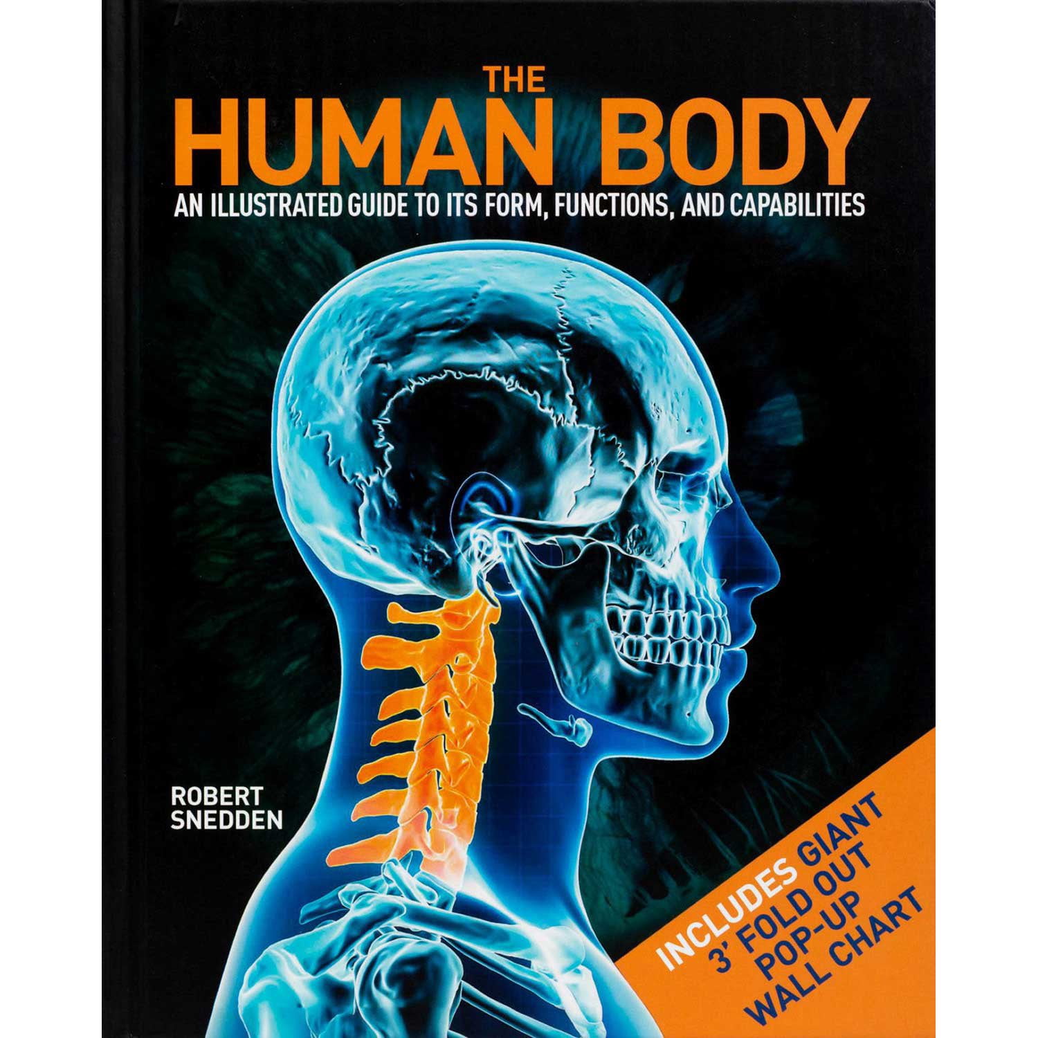 The Human Body, Hardcover - Samsclub.com