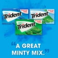 thumbnail image 4 of Trident Mint Sugar Free Gum, Variety Pack, 14 pcs., 20 pk., 4 of 9