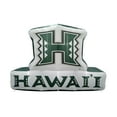 thumbnail image 1 of Logo Brands Hawaii Rainbow Warriors Pre-Lit 7’x10’ Team Inflatable, 1 of 6