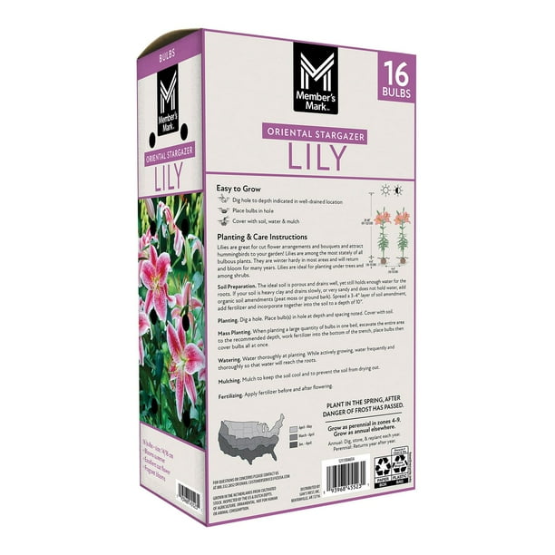 Member's Mark Lily Oriental Stargazer Dormant Bulbs, 16pk