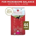 thumbnail image 9 of Purina ONE SmartBlend Natural Lamb and Rice, Adult Dry Dog Food, 44 lbs., 9 of 10