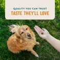 thumbnail image 4 of VETIQ Skin & Coat Soft Dog Chews, Hickory Smoke Flavored, 60 ct., 2 pk., 4 of 6
