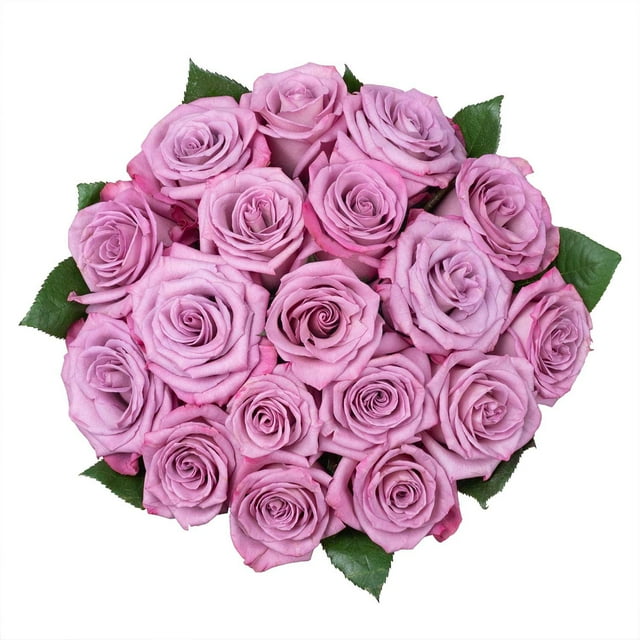 Member's Mark Premium Roses, 18 stems, choose color