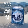 thumbnail image 4 of Busch Light Lager Beer, 12 fl. oz. can, 30 pk., 4 of 8