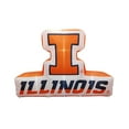thumbnail image 1 of Logo Brands Illinois Fighting Illini Pre-Lit 7’x10’ Team Inflatable, 1 of 6