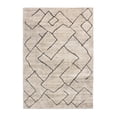 thumbnail image 1 of Member's Mark Cozy Plush Area Rug, Assorted Designs and Sizes, 1 of 6