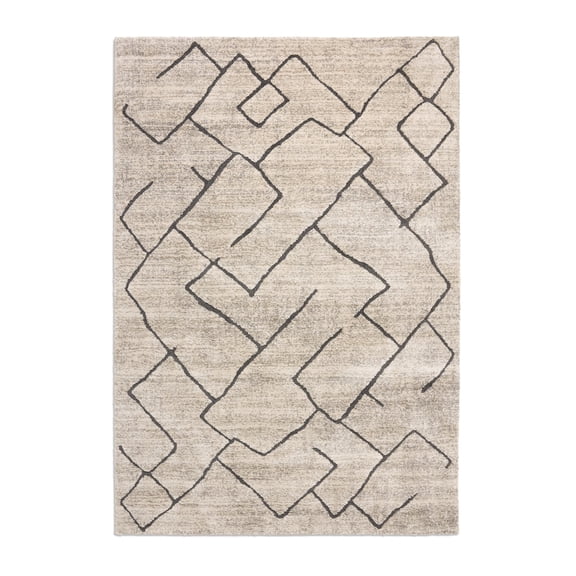 Member's Mark Cozy Plush Area Rug, Assorted Designs and Sizes