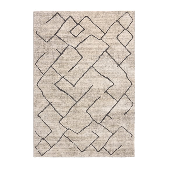Member's Mark Cozy Plush Area Rug, Assorted Designs and Sizes