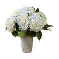 thumbnail image 2 of Member's Mark Hydrangeas, choose color and stem count, 2 of 6