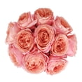 thumbnail image 1 of Member's Mark Garden Roses, 36 stems, Choose color variety, 1 of 6