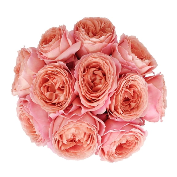 Member's Mark Garden Roses, 36 stems, Choose color variety