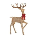 thumbnail image 3 of Member's Mark 3 Piece Pre-Lit Twinkling Deer Family, 3 of 6