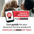 thumbnail image 3 of Purina Dog Chow Beef & Chicken Variety Pack, High Protein Adult Wet Dog Food, 24 ct., 13 oz., 3 of 9