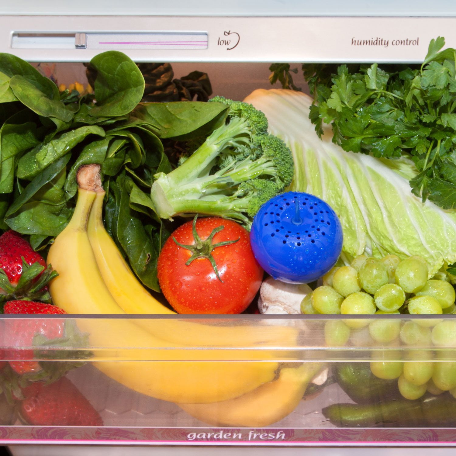 Bluapple Produce Saver - Thumbnail 5