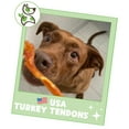 thumbnail image 6 of Nature Gnaws, USA Turkey Tendons Natural Dog Chews, 12 oz., 6 of 7