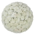 thumbnail image 1 of Member's Mark Carnations, Choose color and stem count, 1 of 7