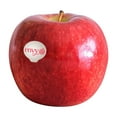 thumbnail image 2 of Envy Apples, 4 lbs., 2 of 5
