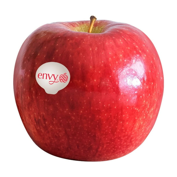 Envy Apples, 4 lbs. - Samsclub.com