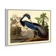thumbnail image 1 of Louisiana Heron Traditional Canvas Print by Oliver Gal Prints, 1 of 4