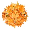 thumbnail image 1 of Member's Mark LA Hybrid Lilies, choose color and stem count, 1 of 7