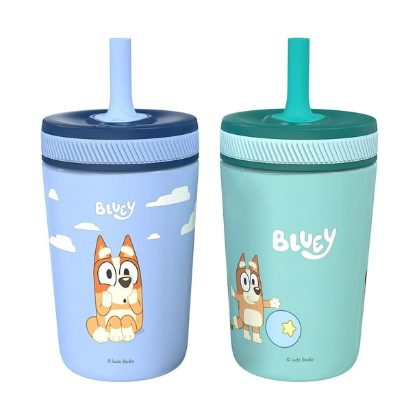 Zak Designs 12-oz. Stainless Steel Double-Wall Tumbler for Kids with Straw,  2-Piece Set - Samsclub.com