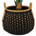 thumbnail image 2 of Artificial 54" Philo in Handwoven Basket - Natural or Bi-Color Baskets, 2 of 5