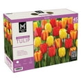 thumbnail image 1 of Member's Mark Tulip Spring Blend Dormant Bulbs, 45pk, 1 of 9
