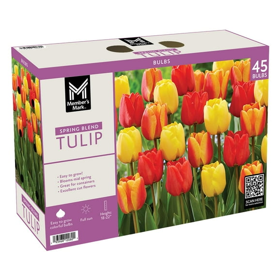 Member's Mark Tulip Spring Blend Dormant Bulbs, 45pk