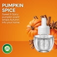 thumbnail image 6 of Air Wick Plug In Scented Oil Air Freshener, Pumpkin Spice, 1 Warmer + 6 Refills, 6 of 10