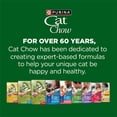 thumbnail image 9 of Purina, Cat Chow Indoor, Healthy Weight and Hairball Dry Cat Food With Chicken, 29 lbs., 9 of 10