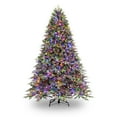 thumbnail image 5 of Member's Mark 7.5' Pre-Lit Fraser Fir Downswept Christmas Tree, 5 of 12