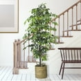 thumbnail image 2 of Faux 72" Ficus Tree in Roped-Style Handwoven Basket, 2 of 6