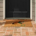 thumbnail image 5 of Logo Brands Florida A&M Rattlers Doormat, 5 of 5