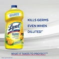 thumbnail image 4 of Lysol All Purpose Cleaner, Lemon Sunflower 210 fl. oz., 4 of 5