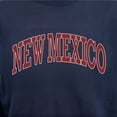 thumbnail image 6 of State of Mine Varsity Arch State Fleece Sweatshirt, 6 of 7