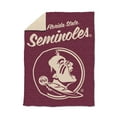 thumbnail image 1 of Logo Brands FL State Seminoles Luxe Dreams Throw, 60" x 80", 1 of 6
