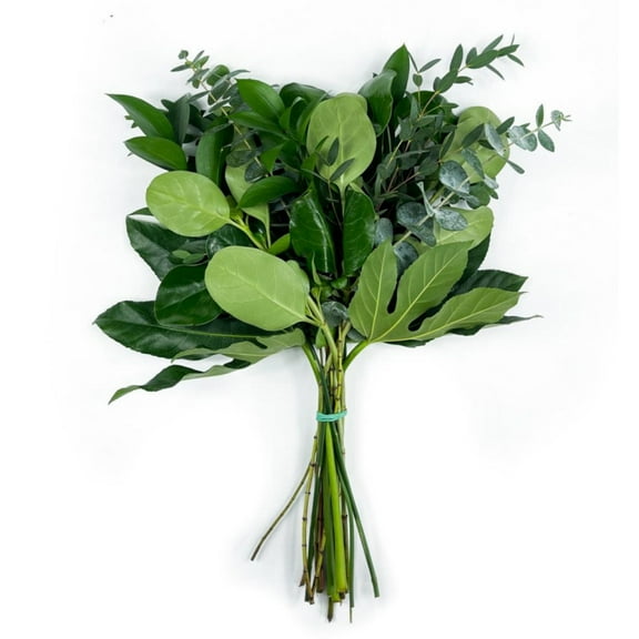 Member's Mark Greenery Combo, 15 stems