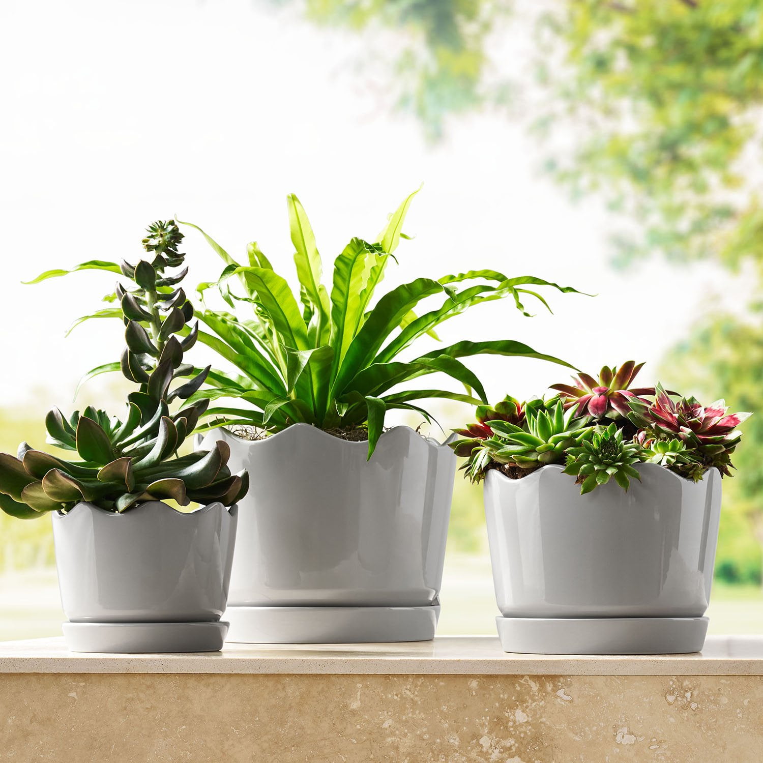 Member's Mark Ceramic Planters with Saucers, Set of 3 - Samsclub.com