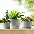 thumbnail image 4 of Member's Mark Ceramic Planters with Saucers, Set of 3, 4 of 9