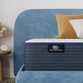 thumbnail image 5 of Serta Enchanting Rest Plush Mattress, 5 of 11