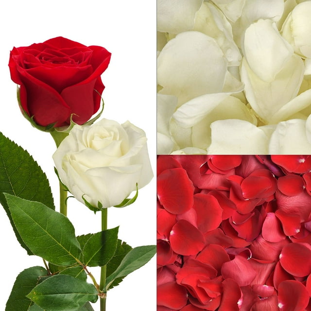 Member's Mark Roses and Petals Combo, 75 stems+ 2,000 petals, choose color