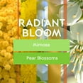thumbnail image 5 of Glade PlugIns Scented Oil, Radiant Bloom, 2 Warmers + 6 Refills, 5 of 6