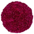 thumbnail image 1 of Member's Mark Mini Carnations, Choose color and stem count, 1 of 6