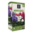 thumbnail image 1 of Member's Mark Garden Phlox Blend Dormant Bulbs, 8pk, 1 of 8