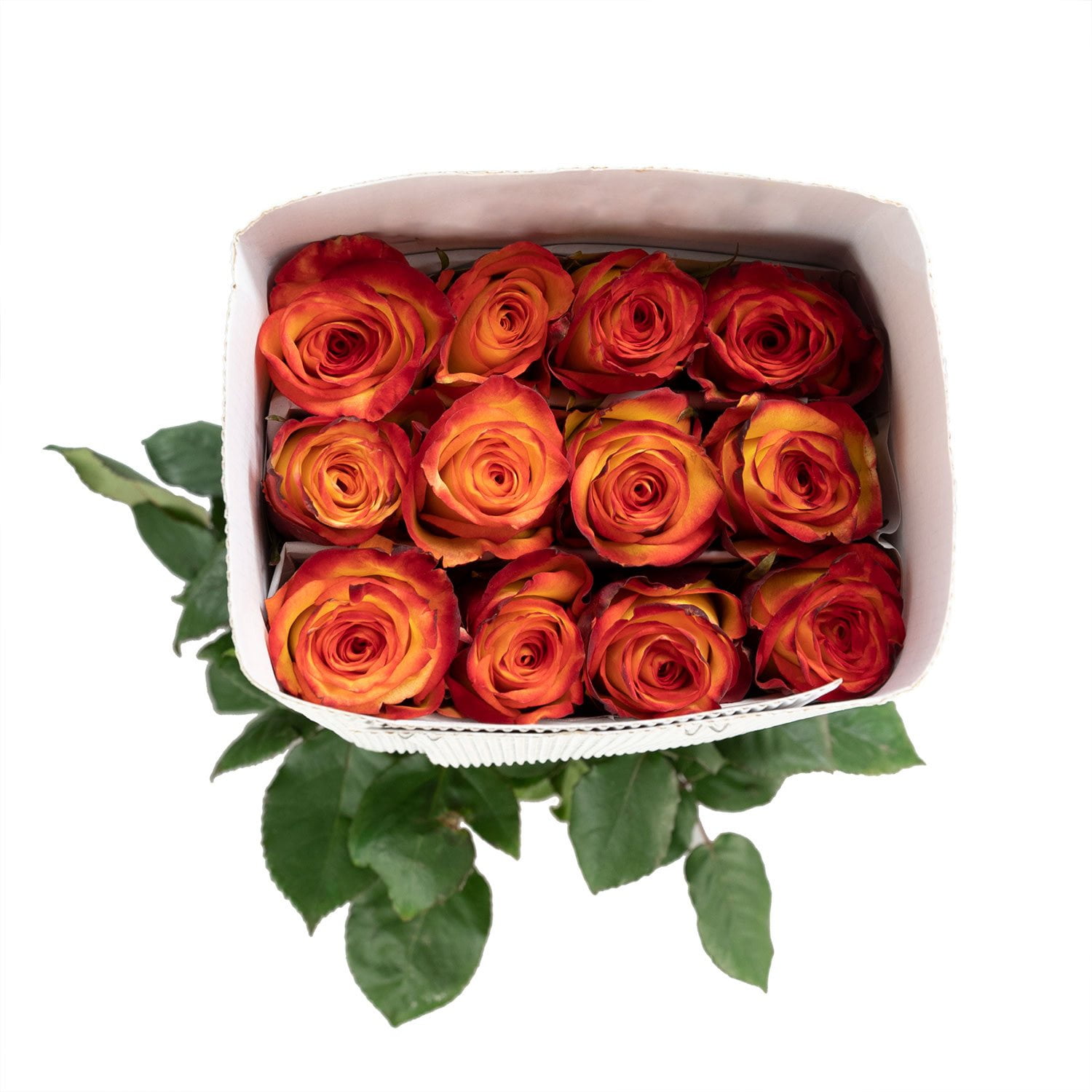 Member's Mark Ecuadorian Premium Roses, choose color variety and