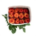 thumbnail image 6 of Member's Mark Ecuadorian Premium Roses, choose color variety and stem count, 6 of 8