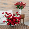 thumbnail image 6 of Member's Mark Ecuadorian Premium Roses, choose color variety and stem count, 6 of 6
